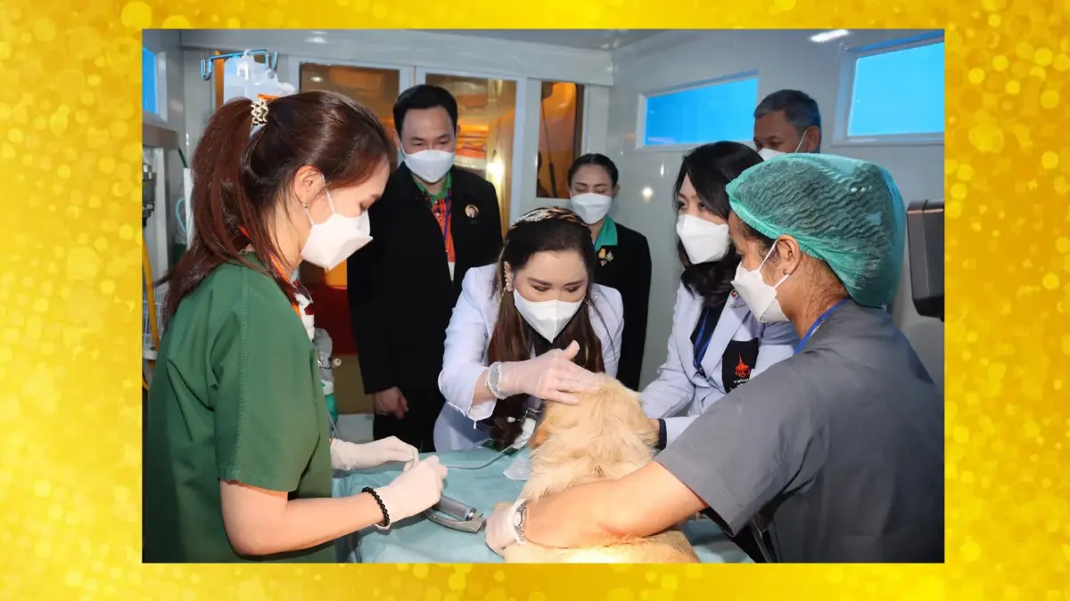 โครงการสัตว์ปลอดโรค คนปลอดภัย หนึ่งในน้ำพระทัยต่อสัตว์เลี้ยงของกรมพระศรีสวางควัฒนฯ