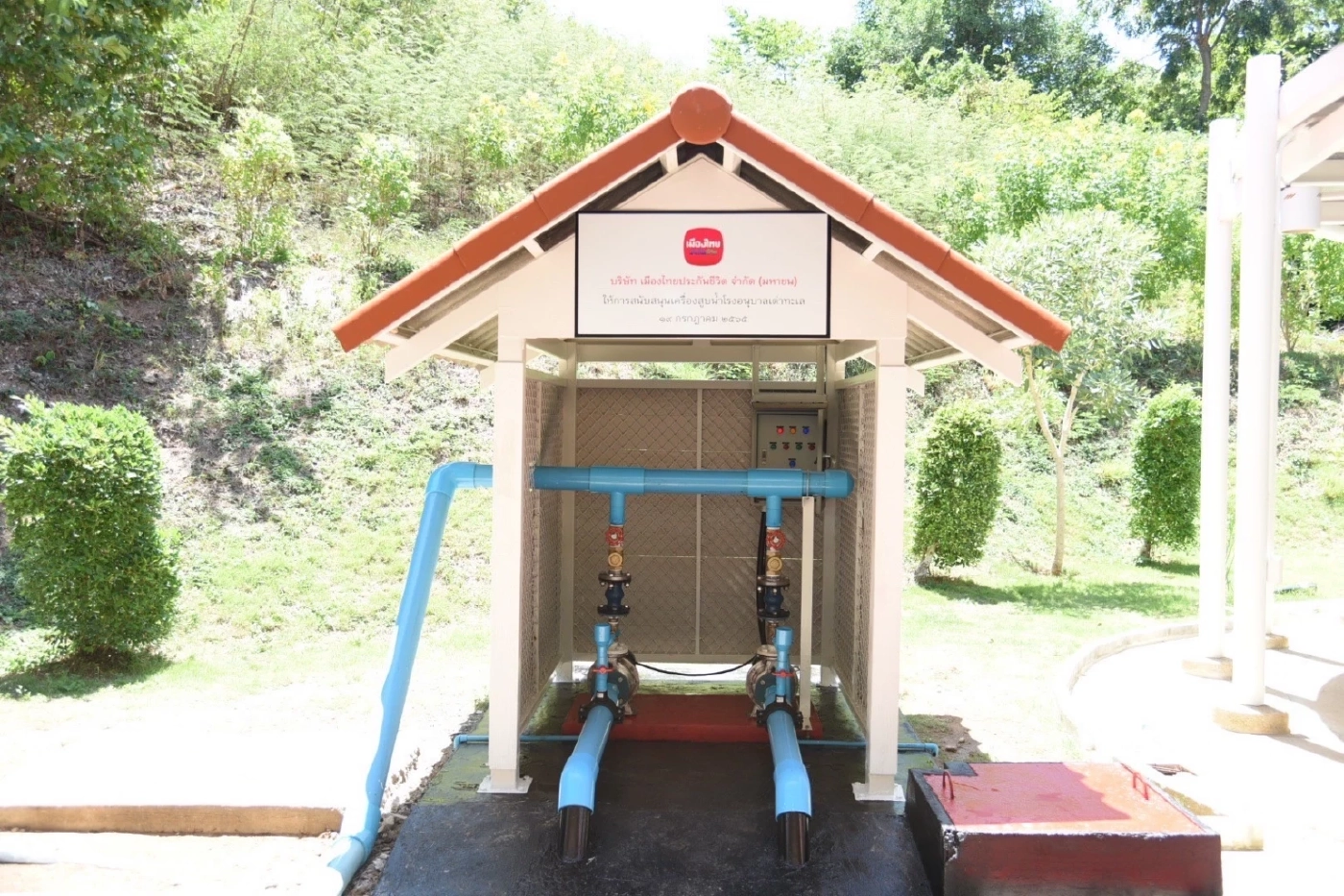 เมืองไทยประกันชีวิต เดินหน้าอนุรักษ์สิ่งแวดล้อมอย่างยั่งยืน สนับสนุนกิจกรรม “อนุรักษ์พันธุ์เต่าทะเล”