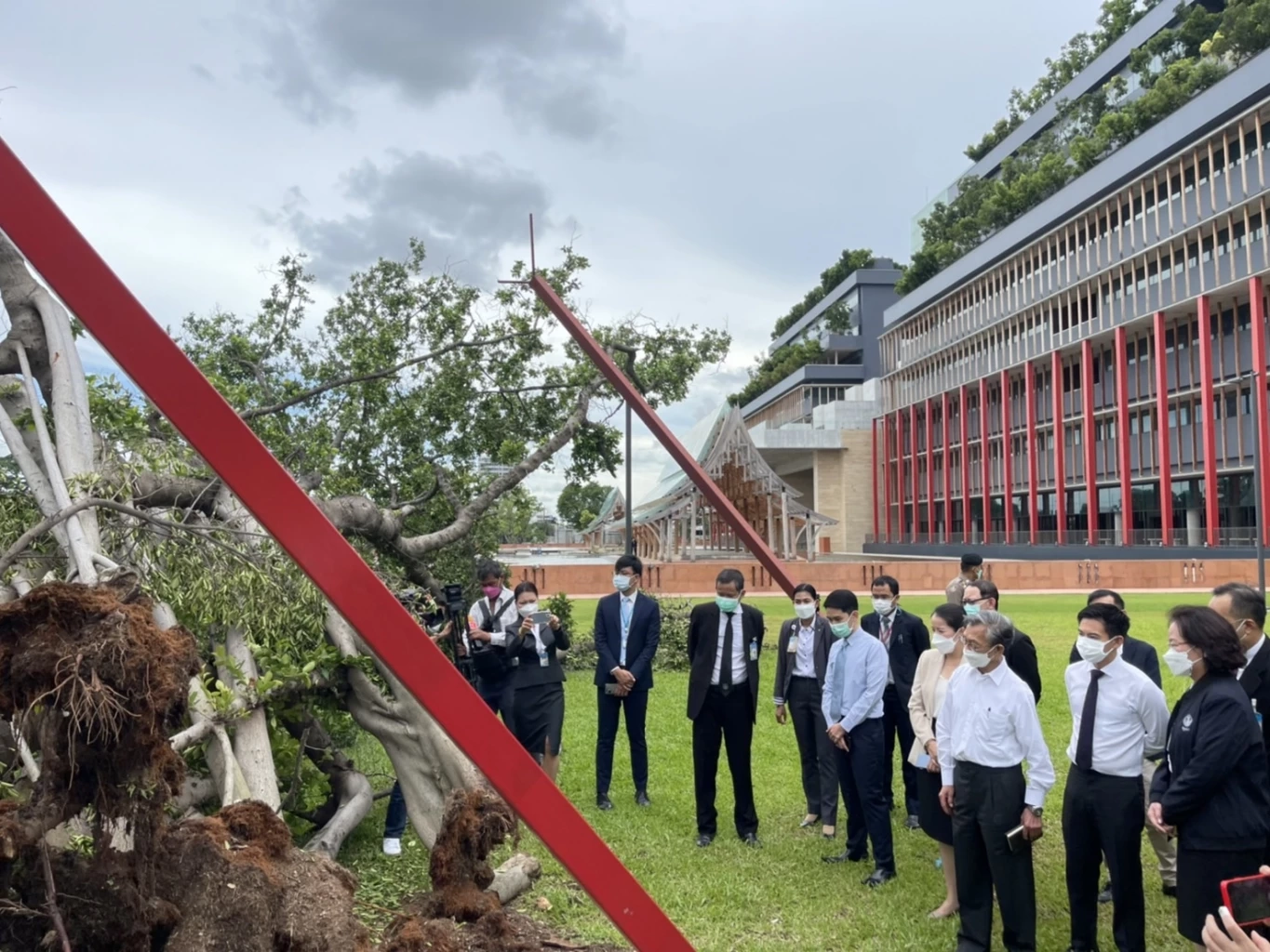 ถอนทิ้งกัญชาในสภาฯ “ชวน” สั่งหาคนปลูก ชี้ คะแนน "จุรินทร์" สะท้อนความจริง