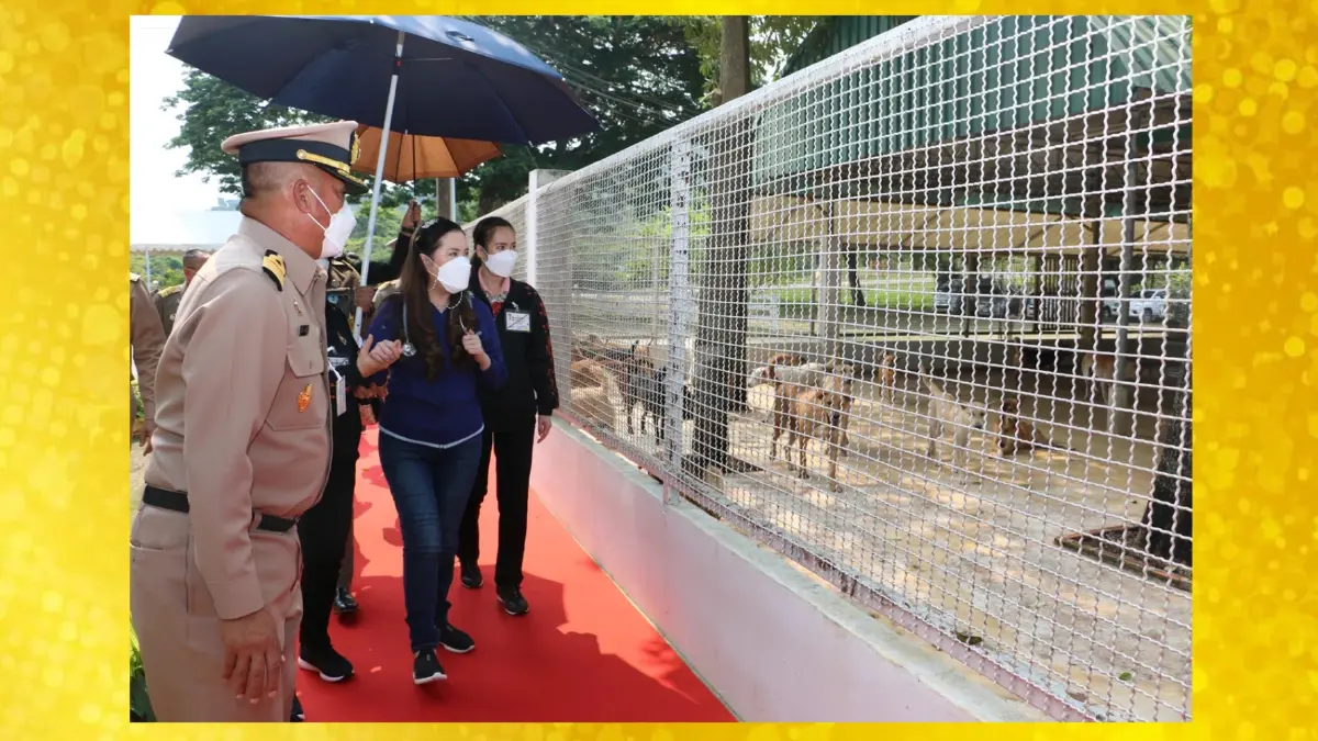 โครงการสัตว์ปลอดโรค คนปลอดภัย หนึ่งในน้ำพระทัยต่อสัตว์เลี้ยงของกรมพระศรีสวางควัฒนฯ