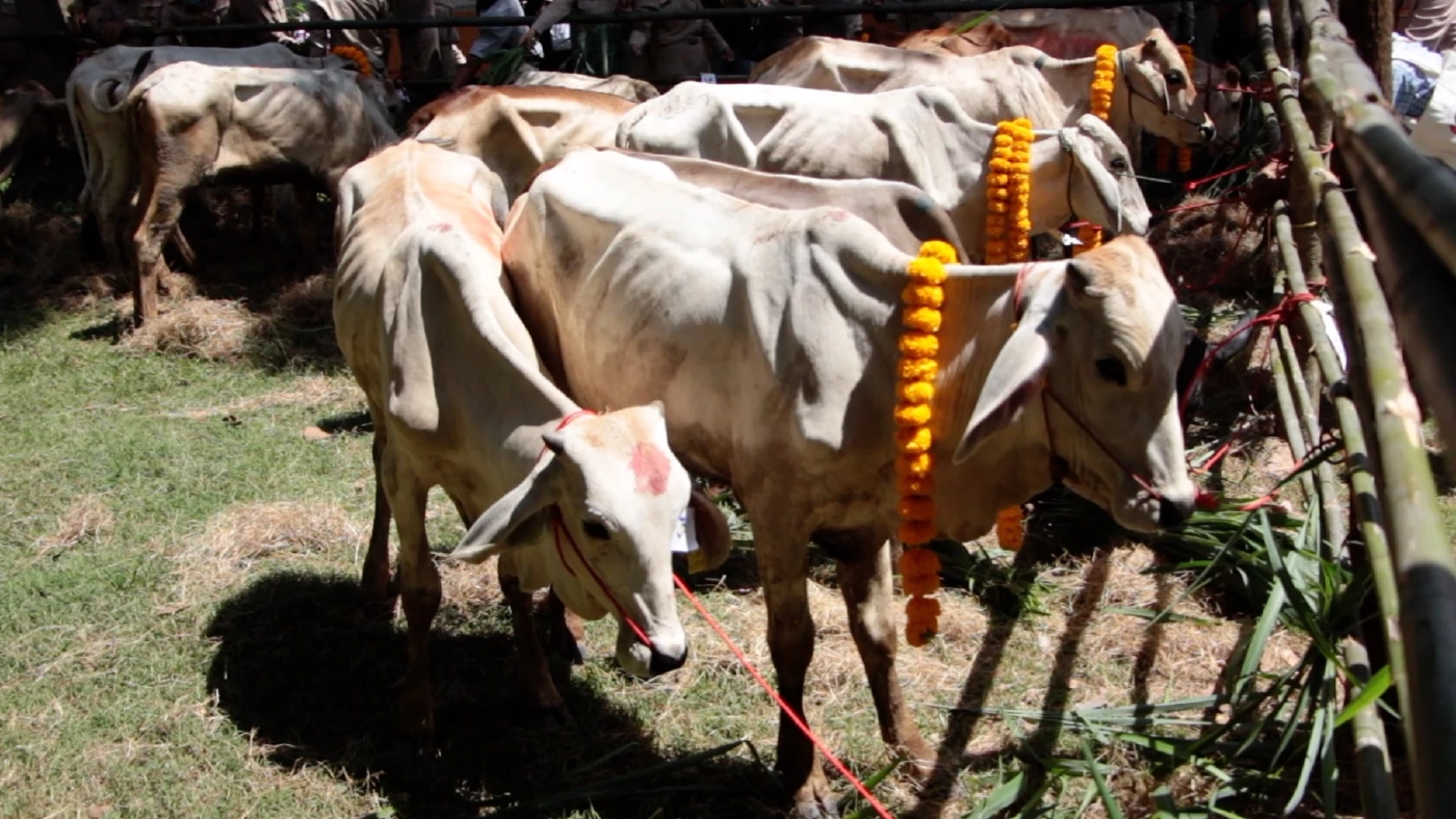 "ประภัตร" เดินหน้าโครงการรบ.หลังผ่านศึกซักฟอก