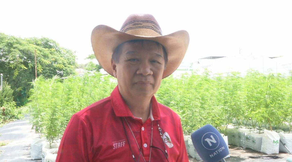 เฝ้าระวังกัญชาในกลุ่มเยาวชน ป้องกันการยกระดับพฤติกรรมไปเสพยาเสพติด