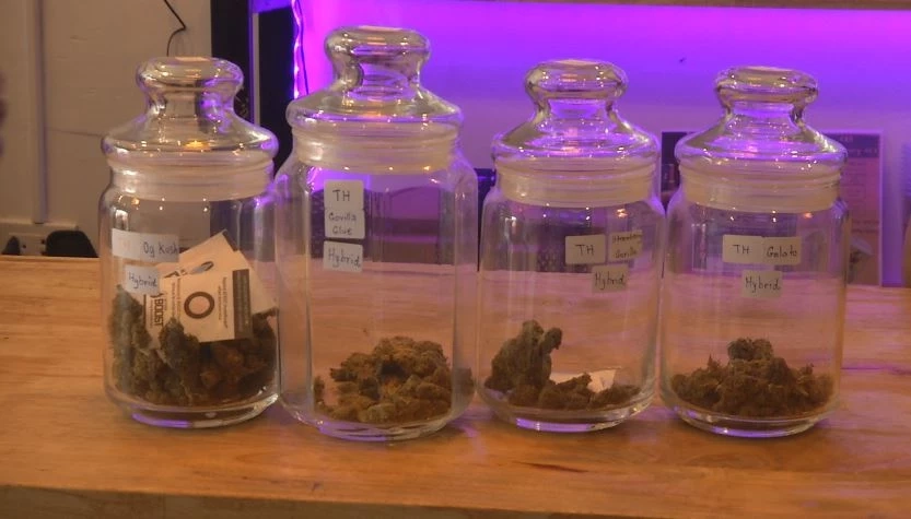 เฝ้าระวังกัญชาในกลุ่มเยาวชน ป้องกันการยกระดับพฤติกรรมไปเสพยาเสพติด