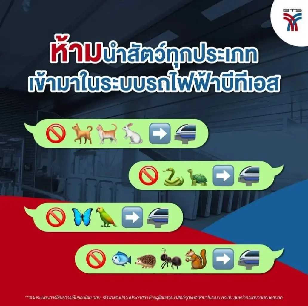บีทีเอสออกประกาศ ห้ามนำสัตว์เลี้ยงทุกประเภทขึ้นรถไฟฟ้า ยกเว้นสุนัข 2 กลุ่ม