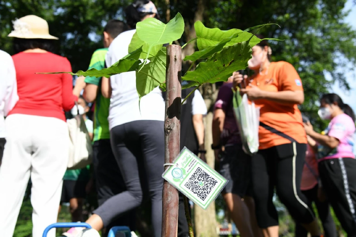 "ชัชชาติ" ปลูกต้นไม้กับทูตแคนาดา เตรียมเปิดแอปฯ ให้ ปชช. ร่วมปลูก