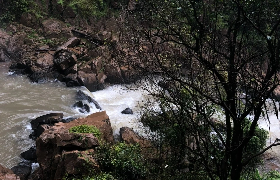 ย้อนโศกนาฏกรรม “ช้างป่าตกเหวนรก” เหตุสลดซ้ำรอยทำช้างตายกว่า 27 ตัว