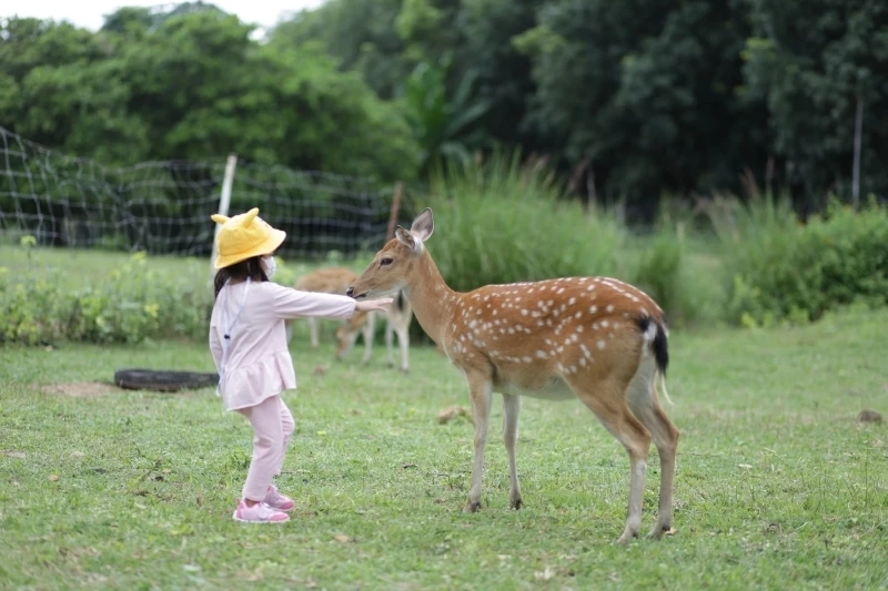 หลังคลายล็อกโควิด-19 การท่องเที่ยวพิษณุโลกกลับมาคึกคัก ช่วงหยุดยาว 5 วัน