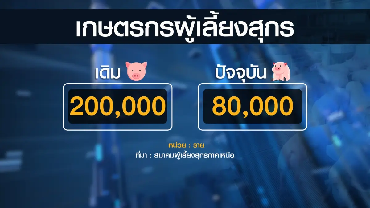 ผู้เลี้ยงหมูหนุนเกษตรฯจ่ายเงิน 'เยียวยา' 753 ล้าน
