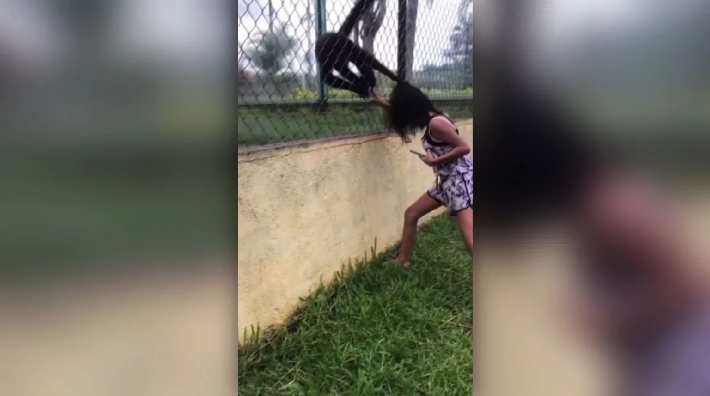 ชาวโซเชียลแชร์คลิปเด็กก่อกวนลิง แต่ลิงสู้กลับ