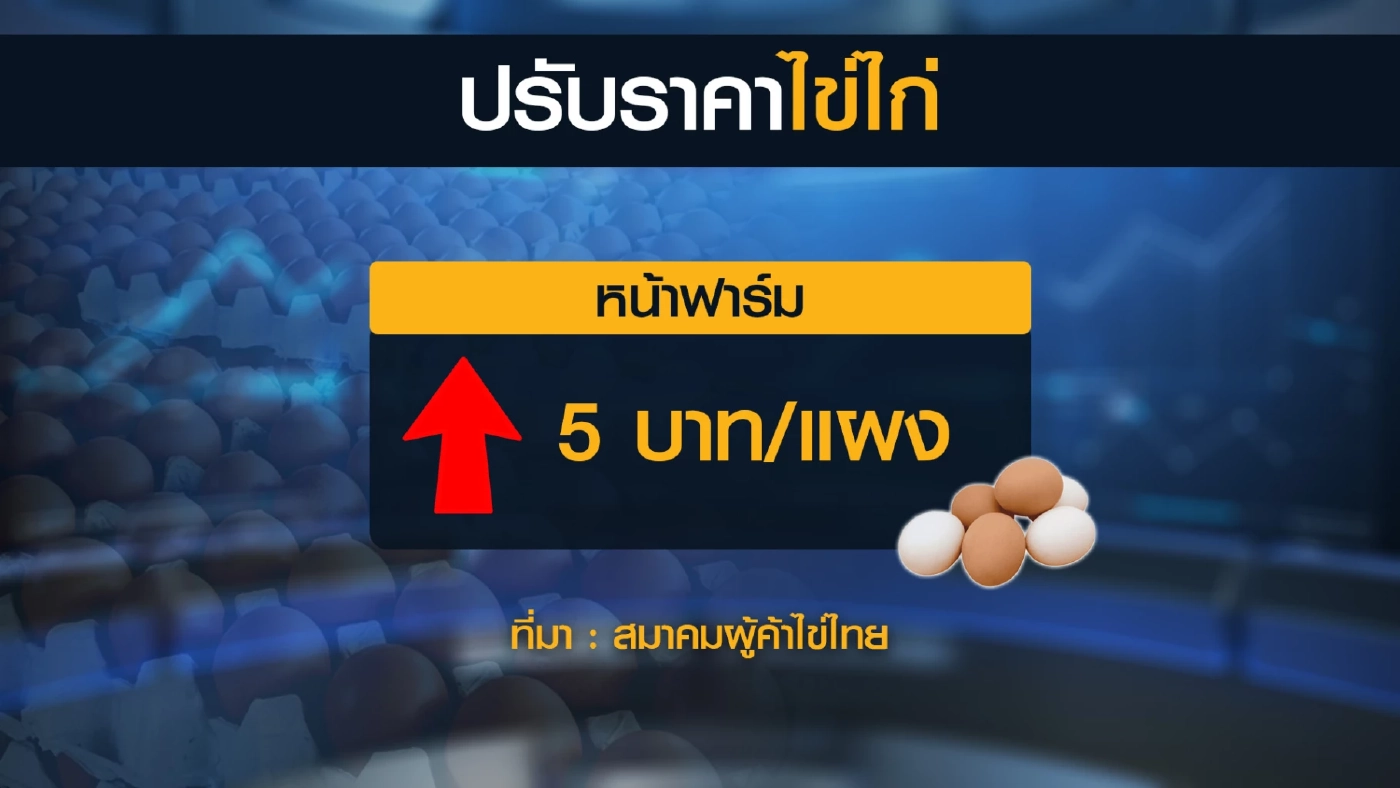 ก้มหน้าทน! ไข่ไก่ดาหน้าขยับราคา 5 บาท/แผง