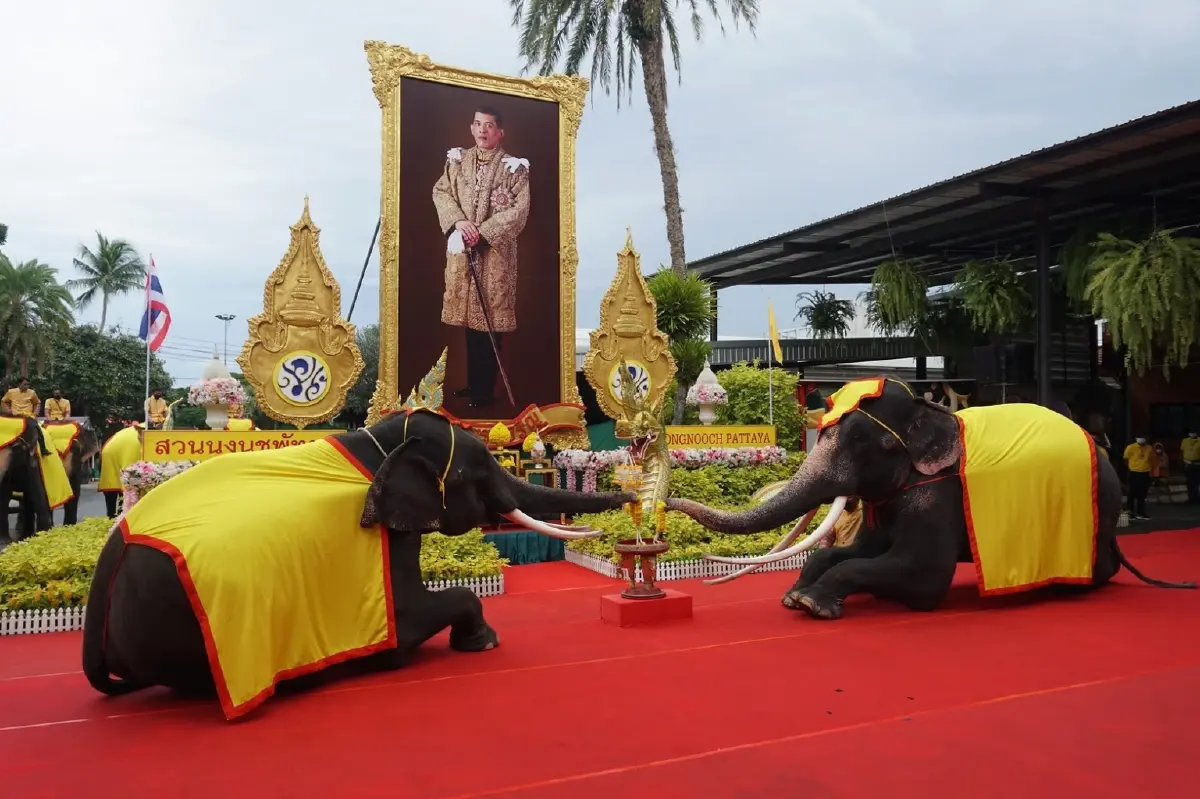การแสดงถวายพระพร จากน้องช้างแสนรู้ ถวายพวงมาลัย เบื้องหน้าพระบรมฉายาลักษณ์ฯ