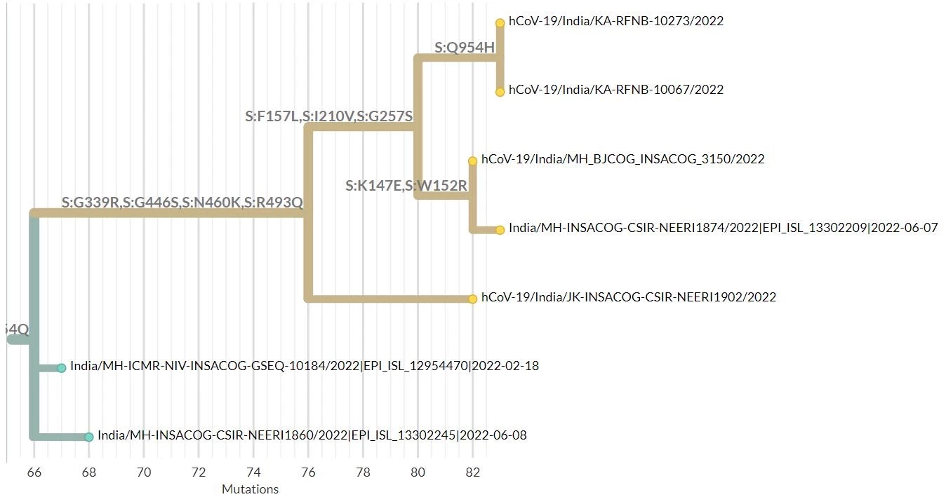 ดร.อนันต์ เตือน พัฒนาการสายพันธุ์ BA.2.75 ที่กำลังมีการกลายพันธุ์ในอินเดีย