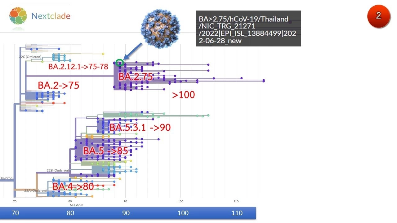 ด่วน!! ไทยพบโอมิครอนสายพันธุ์ย่อย BA.2.75 แล้ว 1 ราย ที่จังหวัดตรัง
