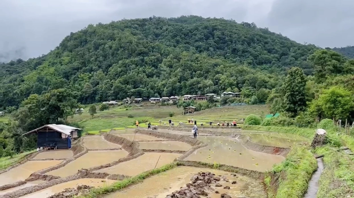 ชวนชมนาขั้นบันได360องศาสวยที่สุดในประเทศไทย