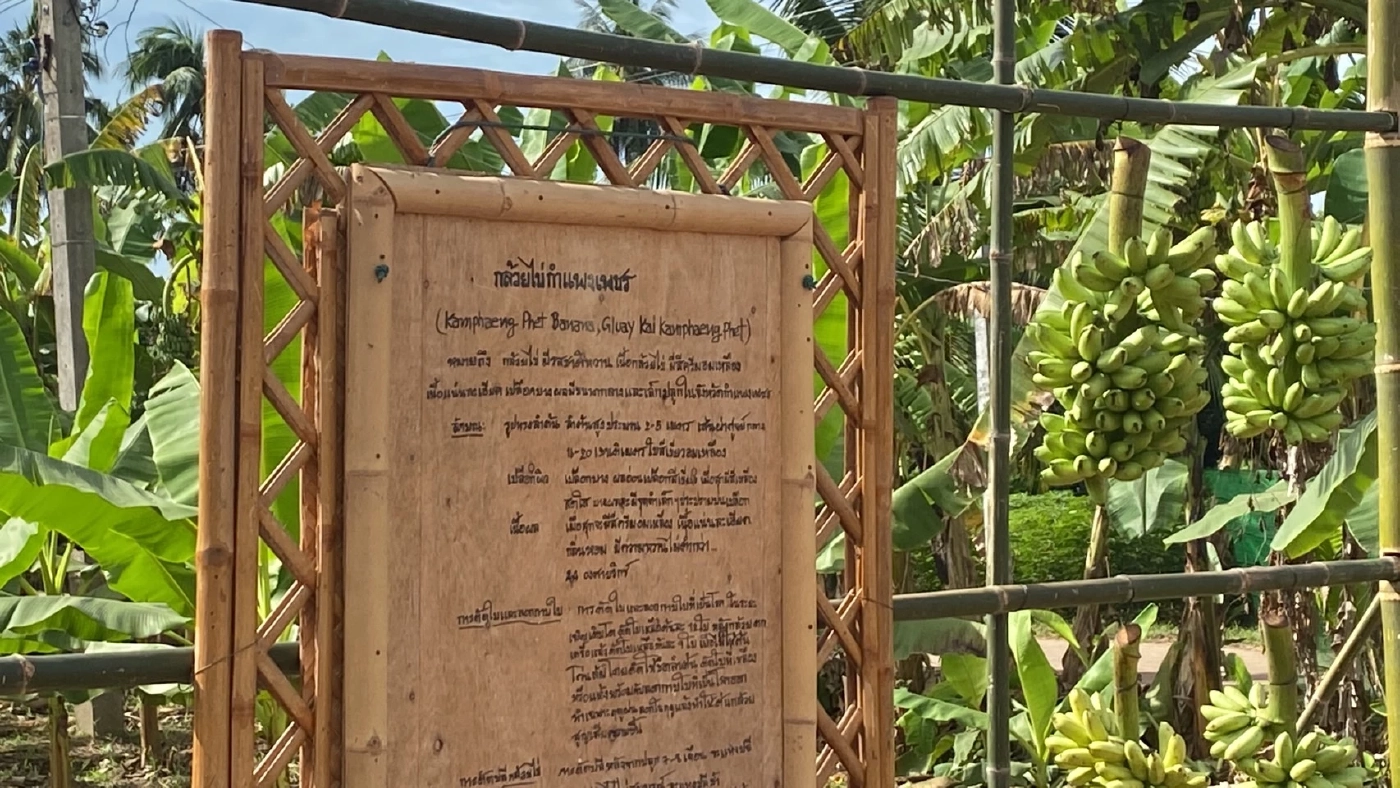 พล.อ.ประยุทธ์ ลงพื้นที่ กำแพงเพชร มวลชน เชียร์ให้เป็น "นายกฯคนต่อไป"