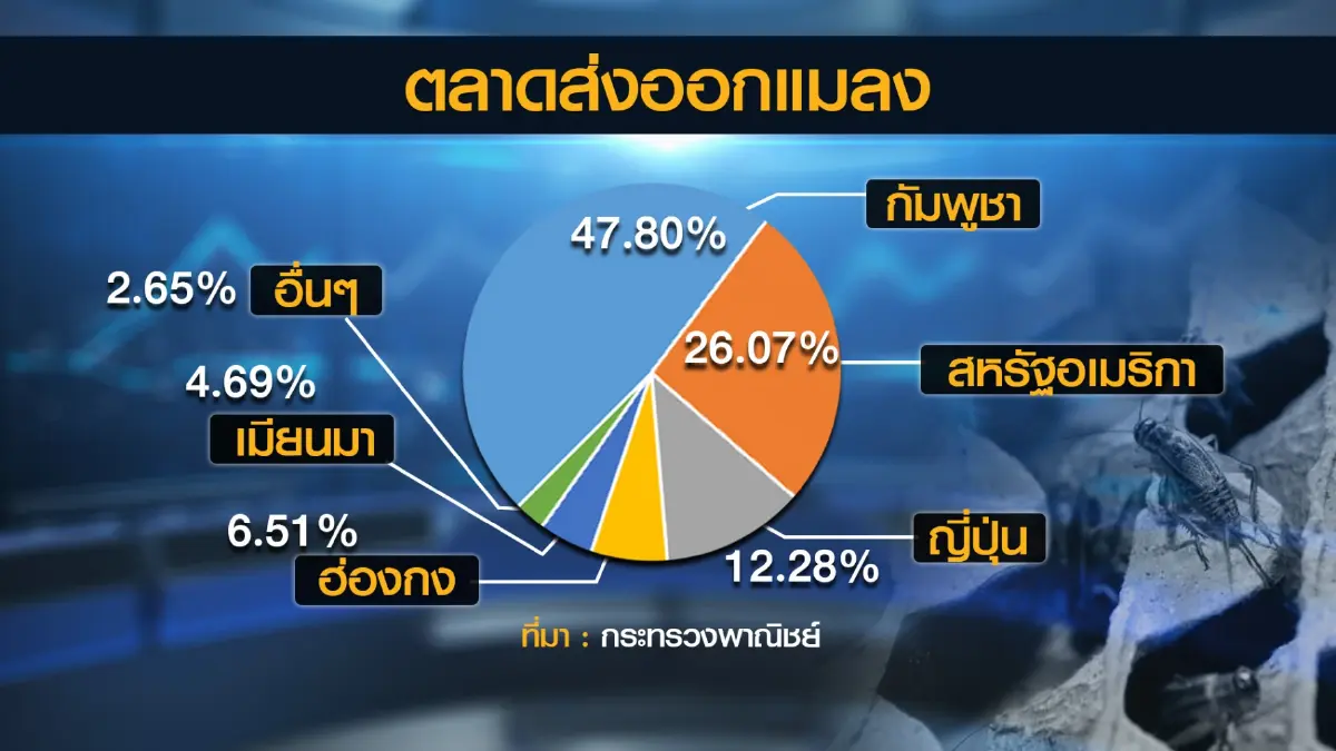 พาณิชย์หนุนส่งออก 'แมลง' สร้างมูลค่าเพิ่มสินค้าเกษตร