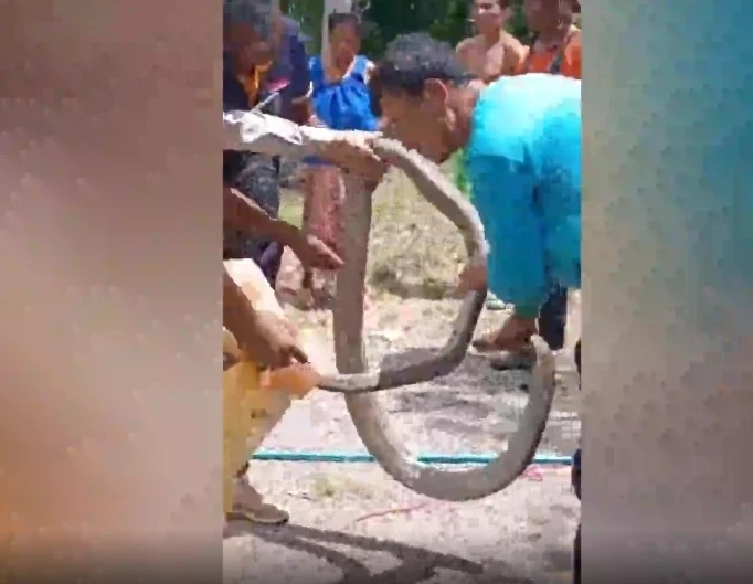 มัดรวมเลขเด็ดเลขดังทั่วไทย รวมให้คอหวยตรงนี้ หวยงวด 1 ส.ค. 65