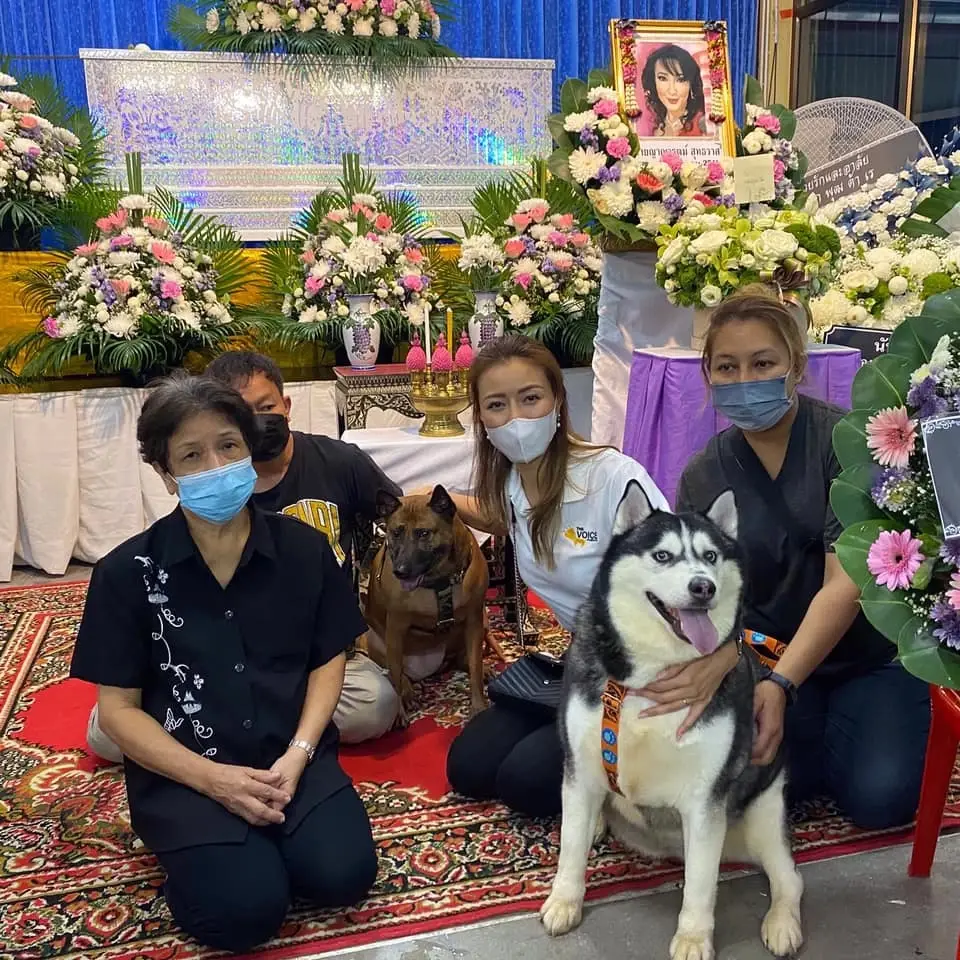 เศร้า ! พาหมาสุดรัก “ซันนี่ ยูโฟร์” ไปลาครั้งสุดท้าย ประกาศหาคนรับเลี้ยงต่อ