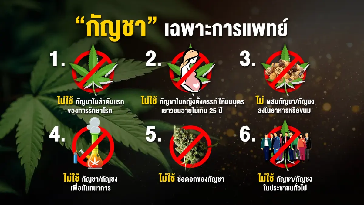 เปิดมติแพทยสภาออกกฎเหล็กใช้กัญชาเฉพาะการแพทย์