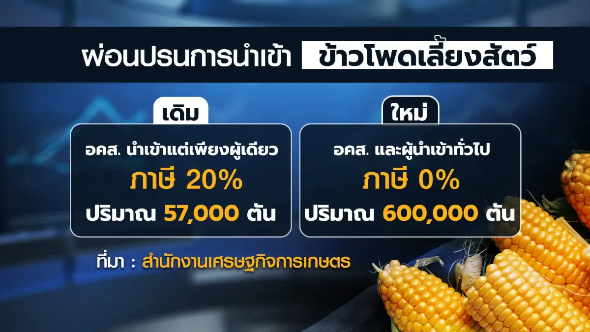 ครึ่งปีแรกข้าวโพดเลี้ยงสัตว์ราคาพุ่ง 9.30 บาท/กก.