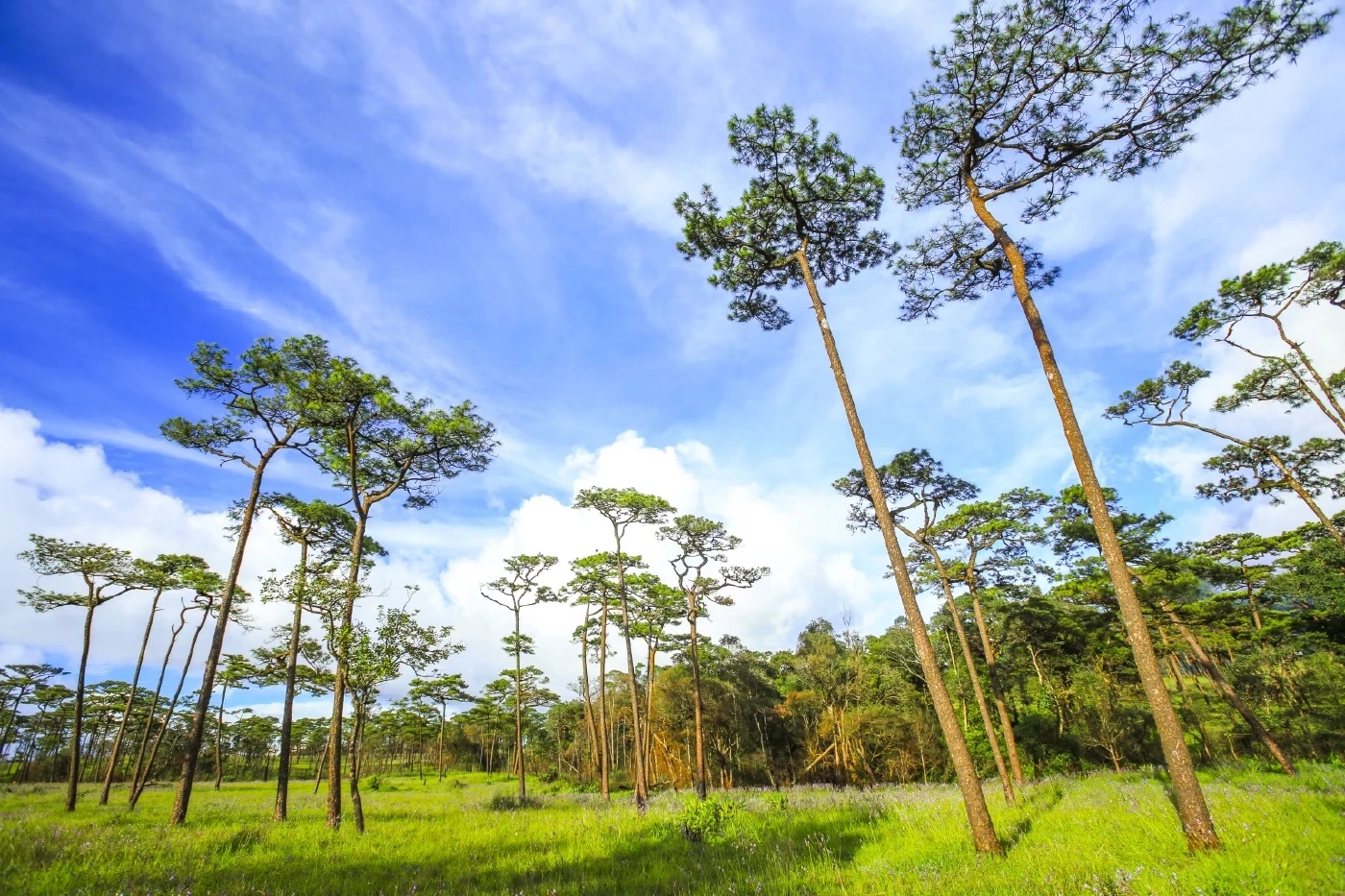 เปิดโปรแกรม หน้าฝนเที่ยวที่ไหนดี ชี้ 5 ที่ท่องเที่ยวสุดฟิน ควรไปสักครั้ง