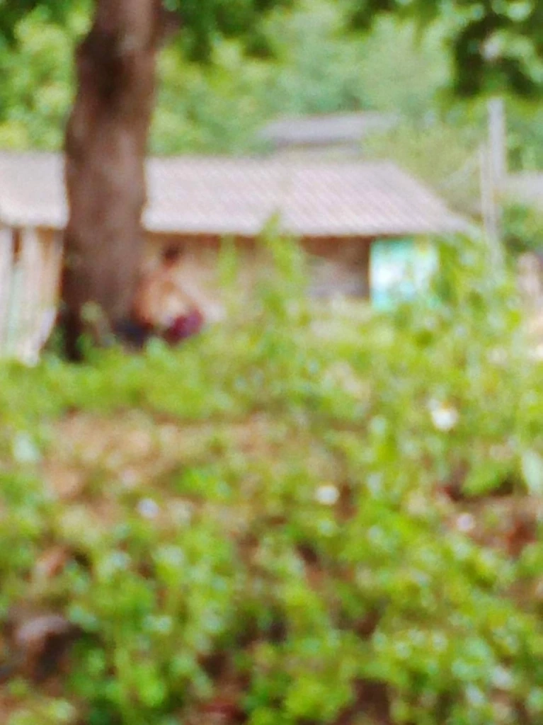 สลด! หนุ่มเชียงรายเมายาบ้าคลั่ง ใช้ปืนลูกซองกราดยิงคนในหมู่บ้านดับ 3 เจ็บ3