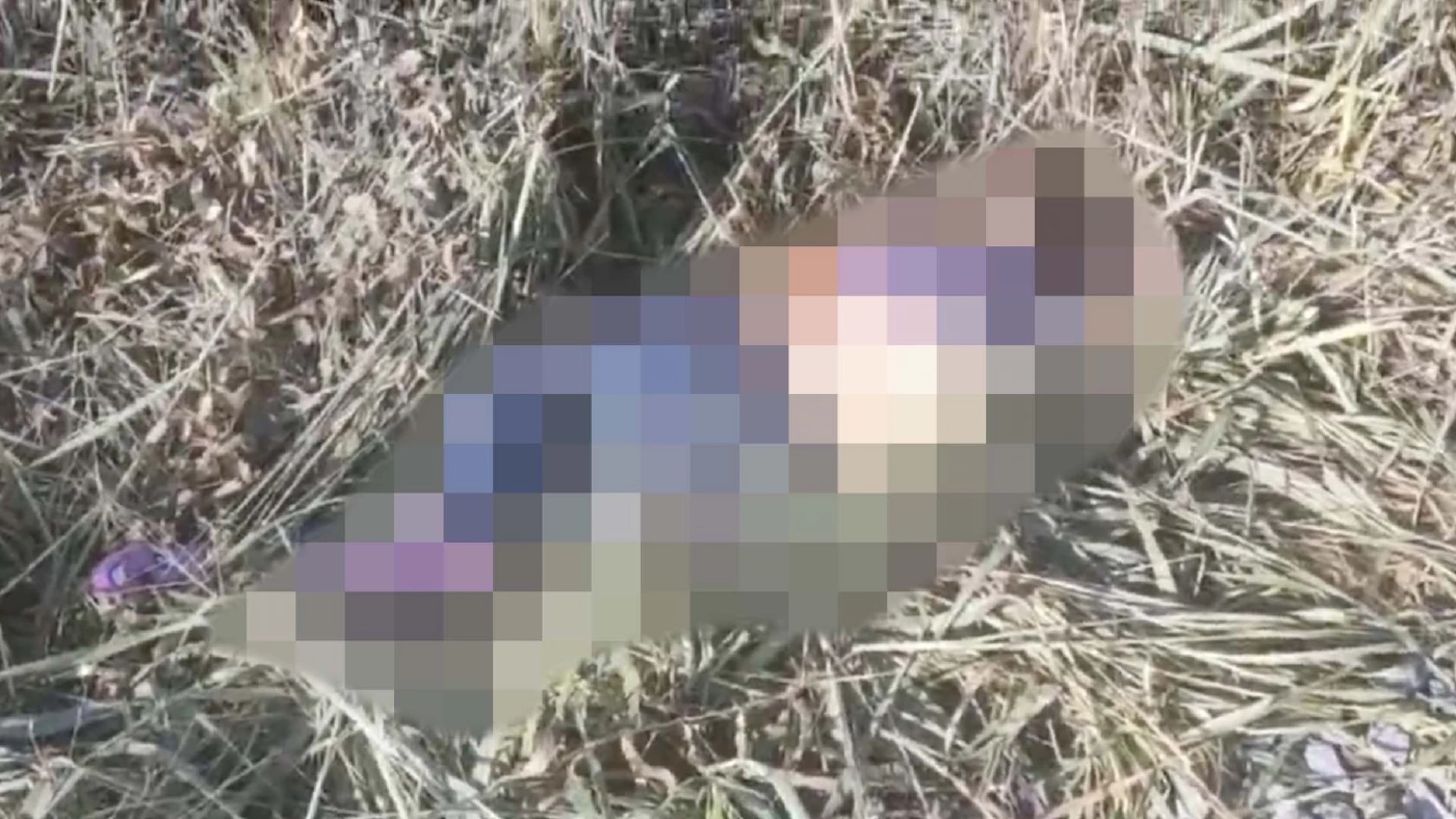 สลดแต่เช้า !! พนักงานตัดหญ้าเข้าไปช่วยเพื่อนยกรถข้ามทางรถไฟ สุดท้ายโดนขี้ร่างแหลกทั้งคู่ 2 ศพ