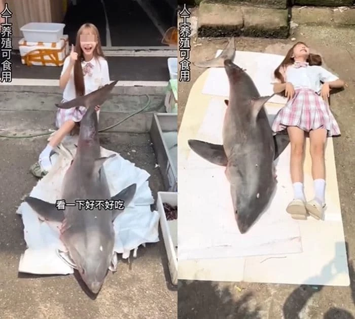 งานเข้า "น้องอุ้ม" เน็ตไอดอลจีนชื่อดังคลิปปลิว หลังปล่อยคลิปเปิบฉลาม