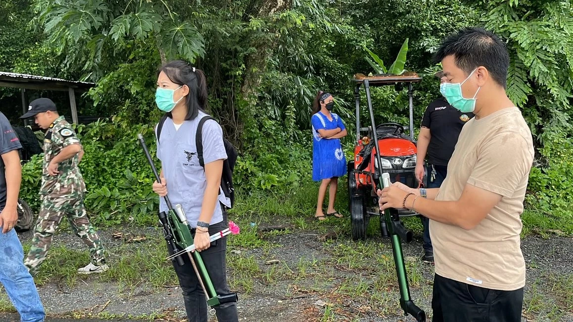 นาทีชีวิตช่วยแม่-ลูกช้างป่าตกท่อระบายน้ำรีสอร์ท นครนายก