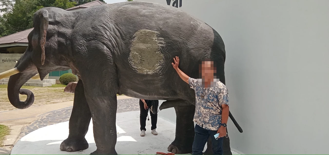 สภาพบาดแผลล่าสุดของพลายนิ่ง