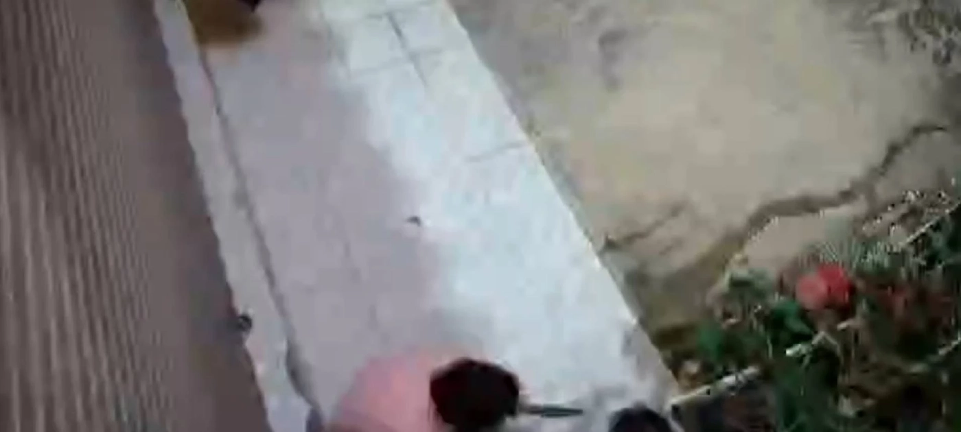 หนุ่มงงเจอกองอึปริศนาหน้าบ้านบ่อย ลงทุนติดวงจรปิดพบความจริงถึงกับอึ้ง