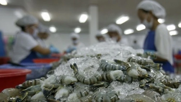 หวั่นนำเข้ากุ้งเอกวาดอร์ทำลายอุตสาหกรรมกุ้งไทย ขอนายกฯระงับคำสั่ง
