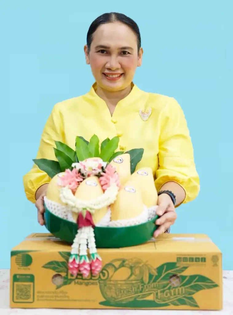 เกษตรสระแก้ว ดึงเทคนิคประยุกต์ "แอร์บลัส" ยกศักยภาพ "มะม่วงน้ำดอกไม้"