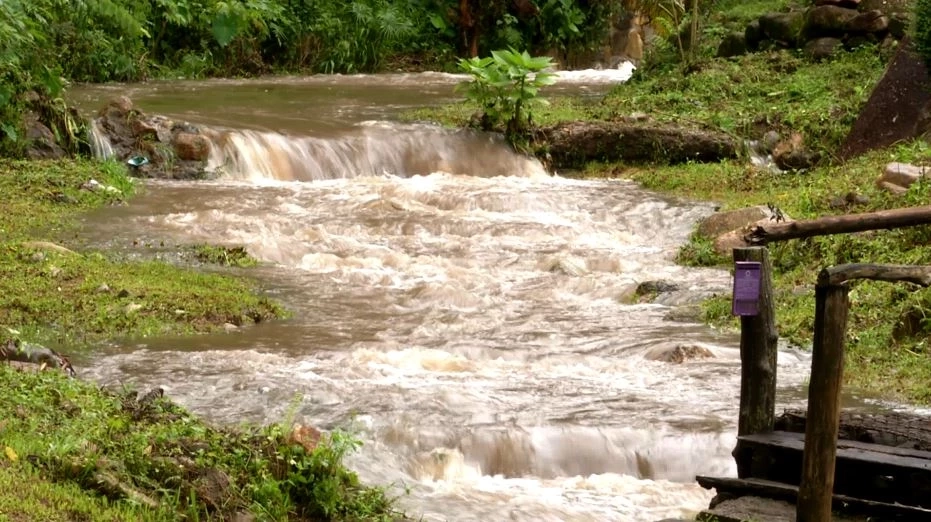 "ทุเรียนน้ำแร่”เคาะราคากก.ละ2,000บาทช่วยไกด์ตกงาน