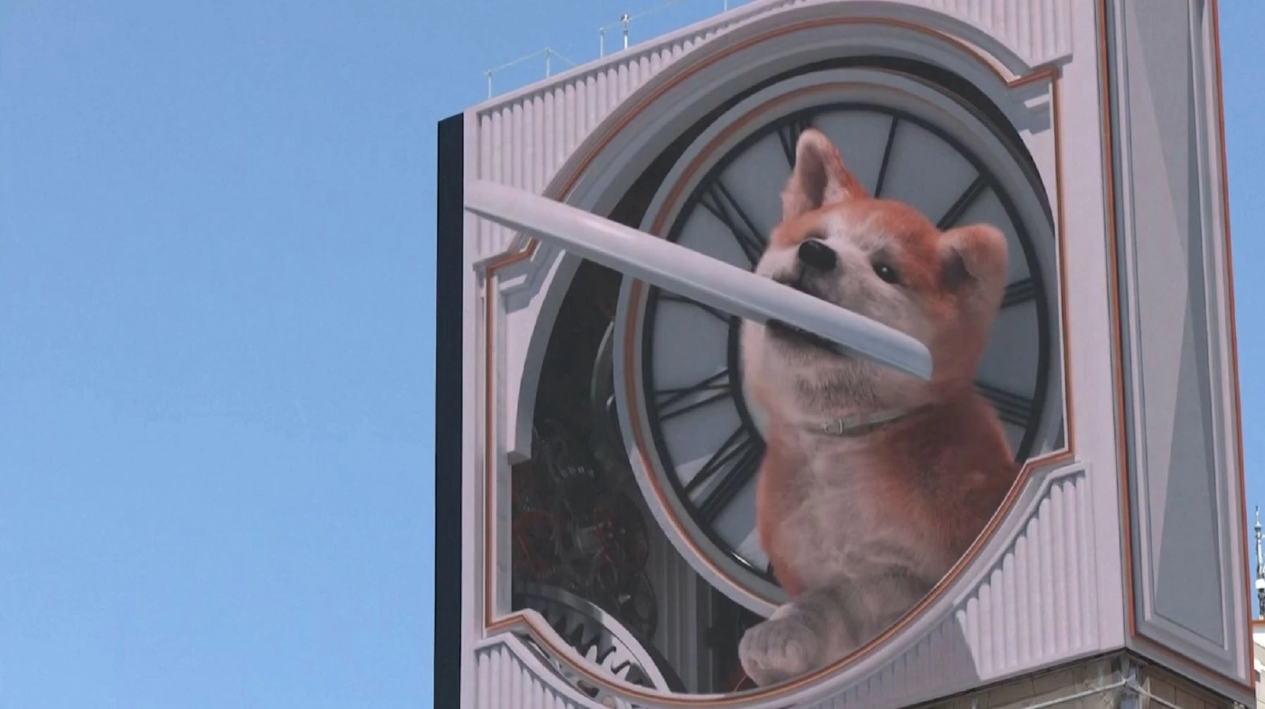 ชาวชิบุยะตื่นเต้นสุนัขอาคิตะ 3D บนจอยักษ์