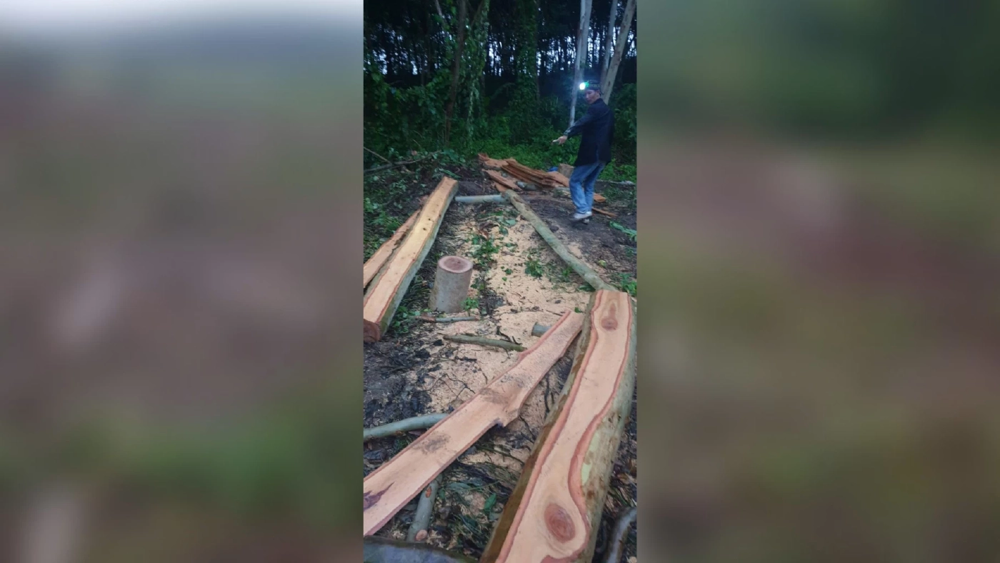 พ่อยิงลูกเลี้ยงดับฉุนตัดไม้ในสวนแถมยังท้าให้ยิง