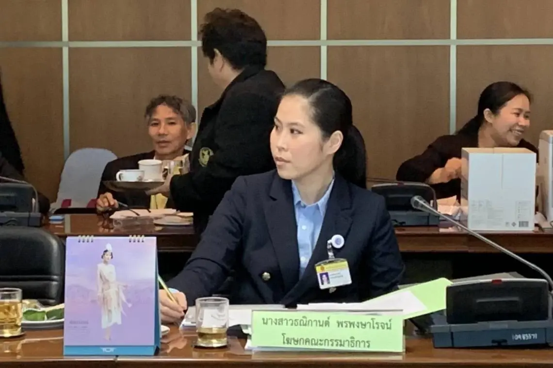 ศาลฎีกาฯ สั่ง จำคุก "ธณิกานต์ พรพงษาโรจน์" 1 ปี ปรับ 2 แสน ให้รอลงอาญา 2 ปี