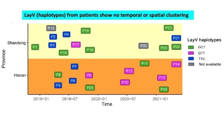 ดร.อนันต์ เปิดข้อมูล"ไวรัสเลย์วี" ไวรัสตัวใหม่ติดได้อย่างไร รุนแรงแค่ไหน?