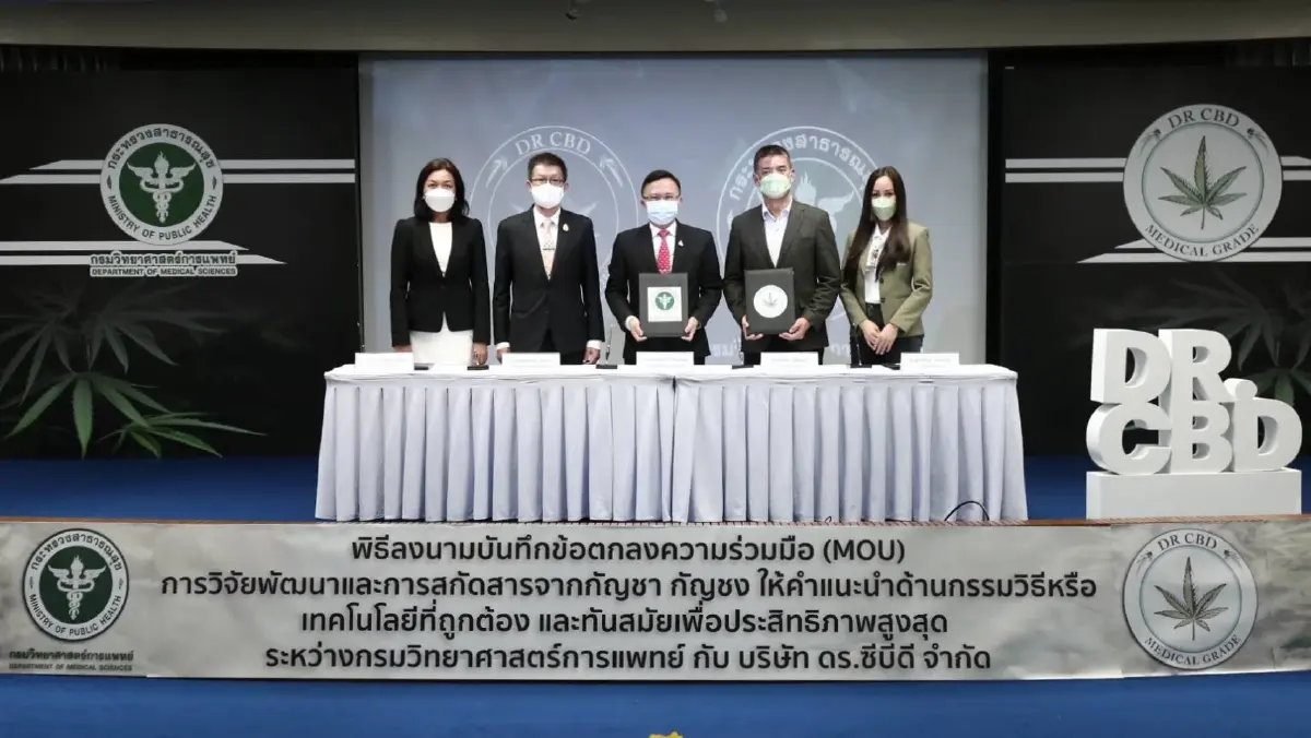 สธ. จับมือเอกชน วิจัย"กัญชา กัญชง" ทางการแพทย์เพื่อสุขภาพ