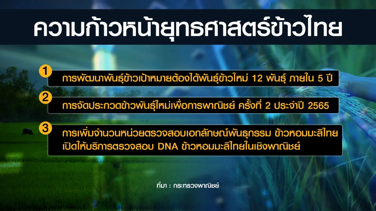 พาณิชย์ มั่นใจส่งออก 'ข้าว' ตามเป้า 7 ล้านตัน