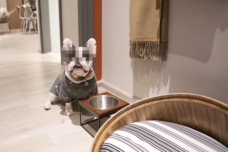 ภาพประกอบไม่เกี่ยวกับเนื้อหา