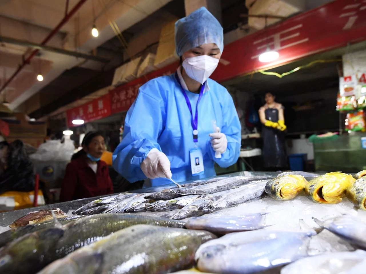 จีนสว็อบปลา หวั่นนำเชื้อโควิดเข้าประเทศ