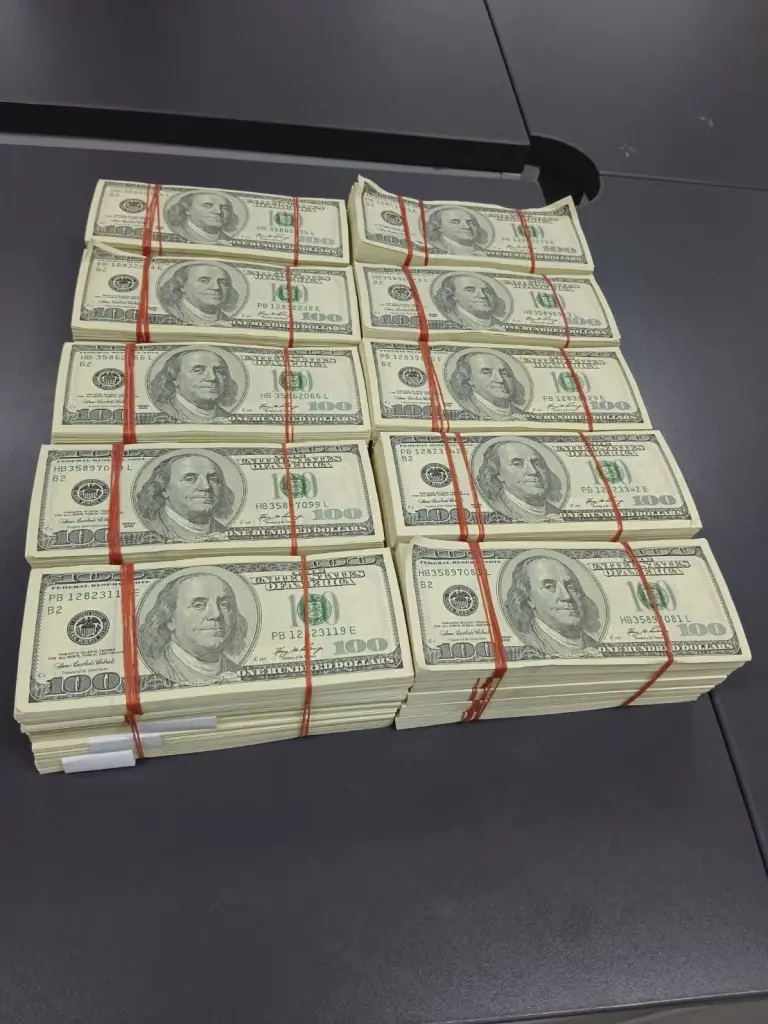 จับ 2 หนุ่มขนเงินดอลลาร์ปลอม 18 ล้านบาท