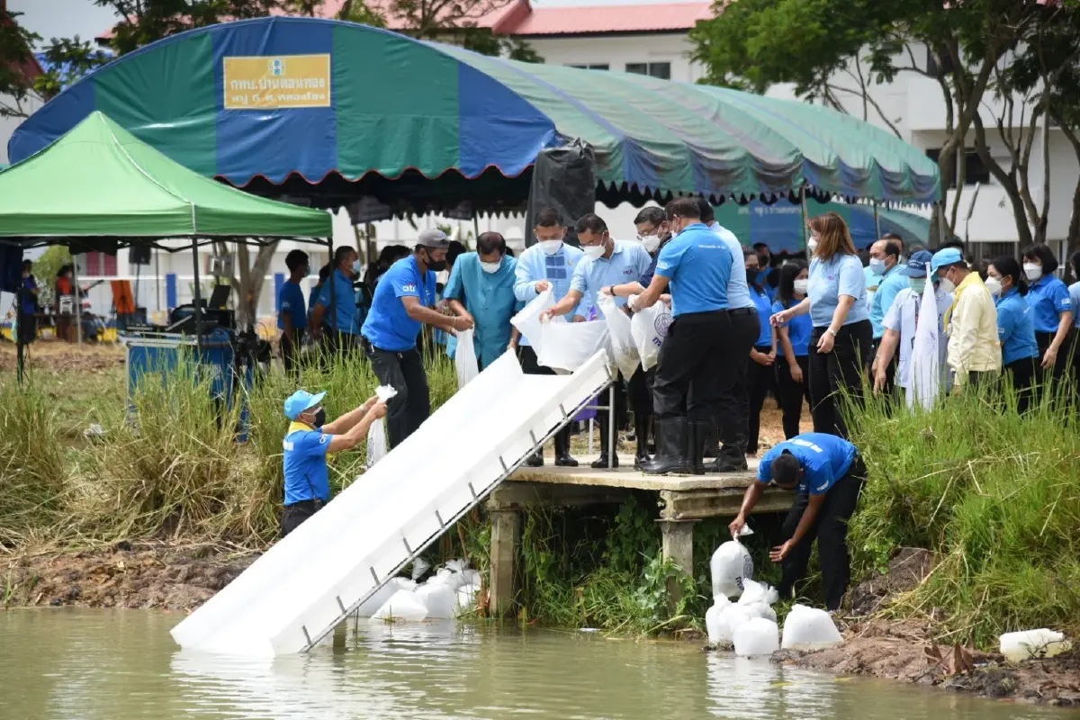 กฟภ. จัดโครงการ PEA พลังงานสะอาดเพื่อชุมชน เนื่องในโอกาส มหามงคลเฉลิมพระชนมพรรษา 90 พรรษา 12 สิงหาคม 2565