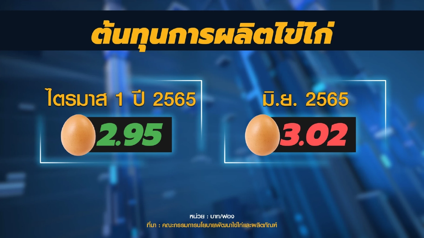 ปศุสัตว์คาด ก.ย. ราคาไข่ไก่ลดตามกลไกตลาด
