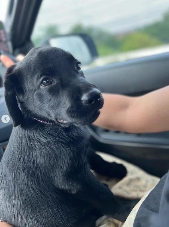 “วิกกี้-เวียร์ ศุกลวัฒน์” เผยข่าวดี มีสมาชิกใหม่ในครอบครัว