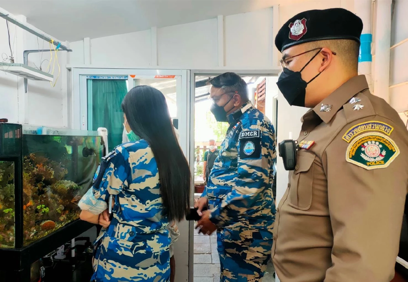 บุกจับหนุ่มค้าปะการัง-ดอกไม้ทะเลออนไลน์ ของกลางกว่า 300 ชิ้น