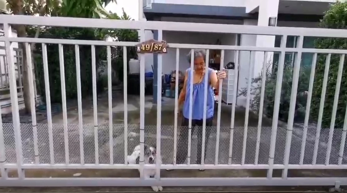 เปิดใจ “ยายมณี” เล่าวินาทีชีวิตปีนกำแพงบ้าน หนีหมาบางแก้วนาน 2 ชม.