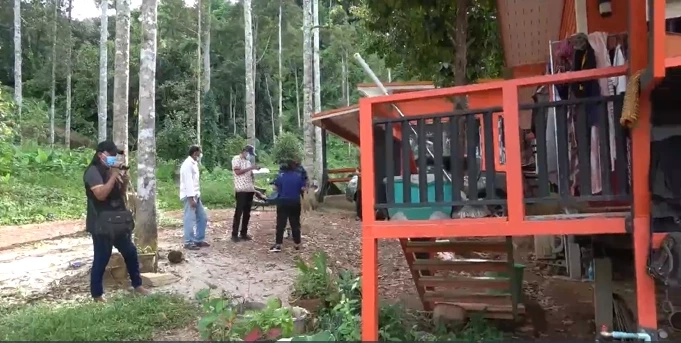 ชาวบ้านผวา ลิงยักษ์ไล่กัดคนแล้วเจ็บนับสิบ ขนาดไม่กล้าออกกรีดยาง (มีคลิป)