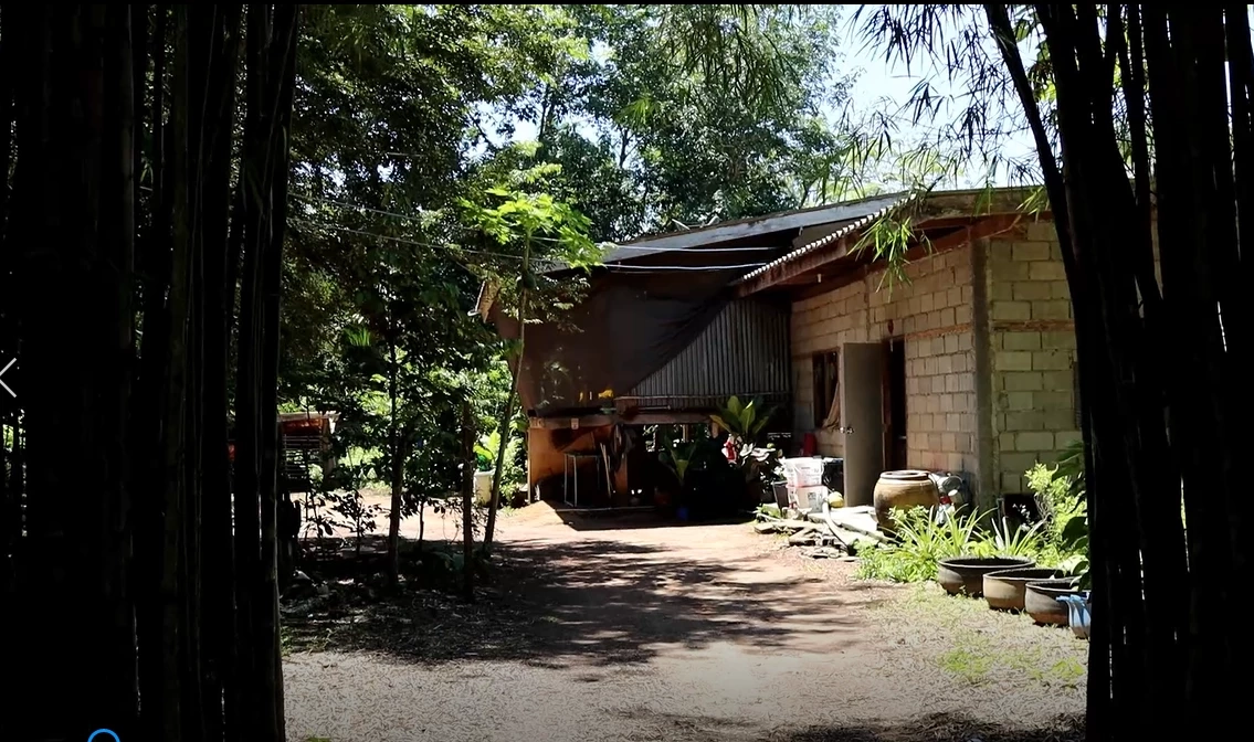 จับแล้ว ตาเลี้ยงข่มขืนหลานวัย 11 ขวบ สลดพาเพื่อนมาร่วมก่อเหตุเกือบ 20 คน